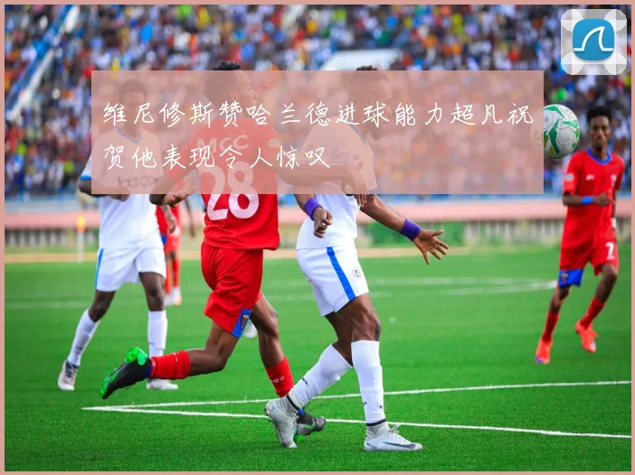 维尼修斯赞哈兰德进球能力超凡祝贺他表现令人惊叹